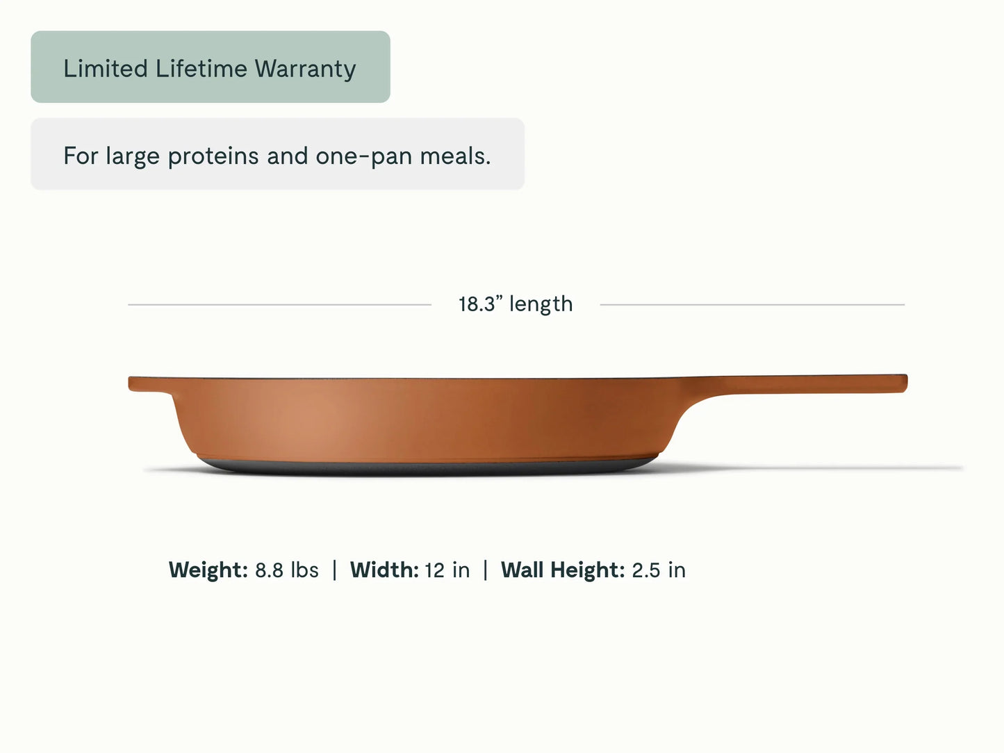 Cast Iron 12 inch Skillet