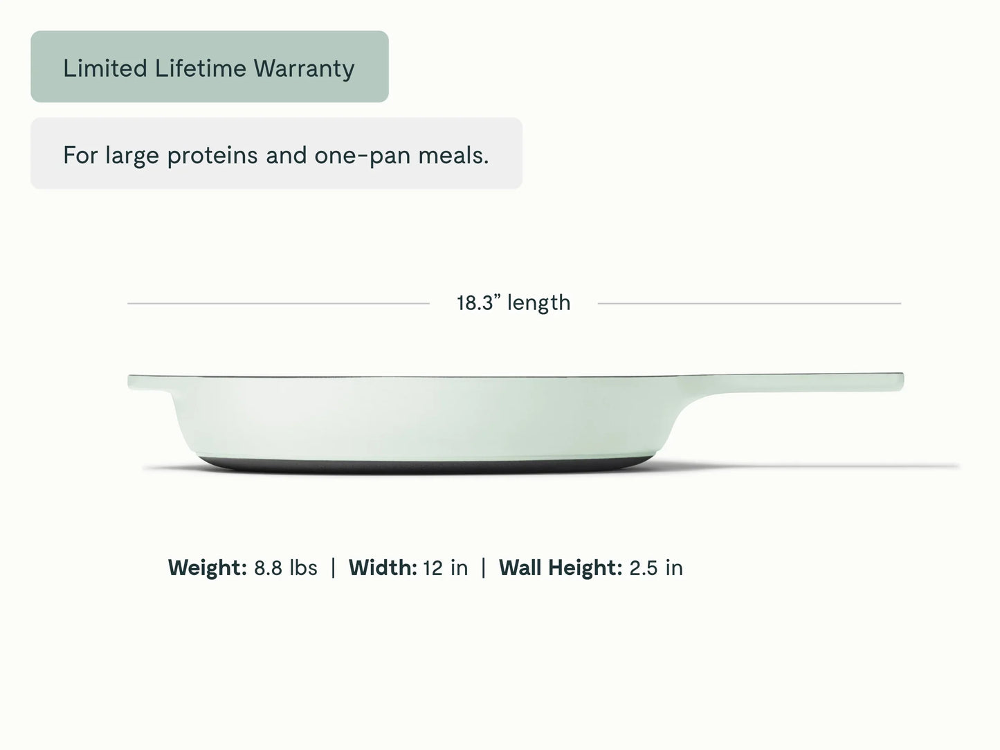 Cast Iron 12 inch Skillet