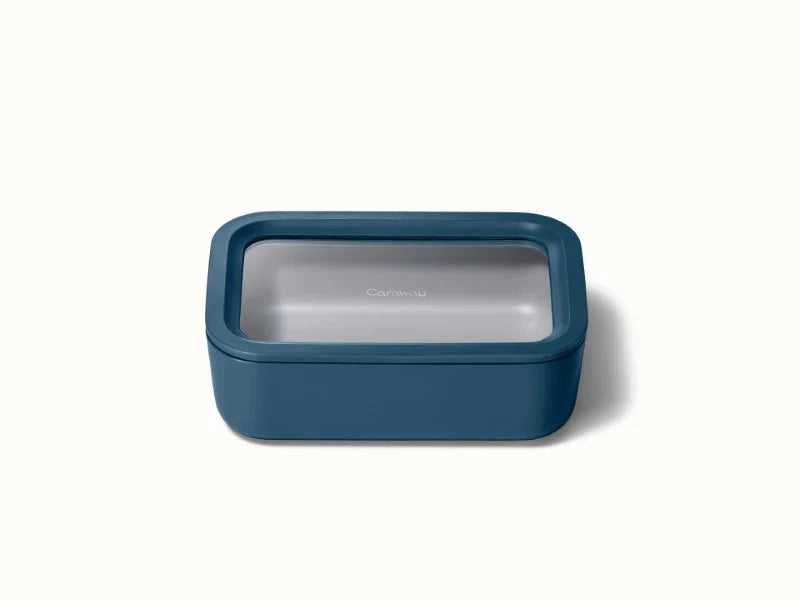 Medium Storage Container
